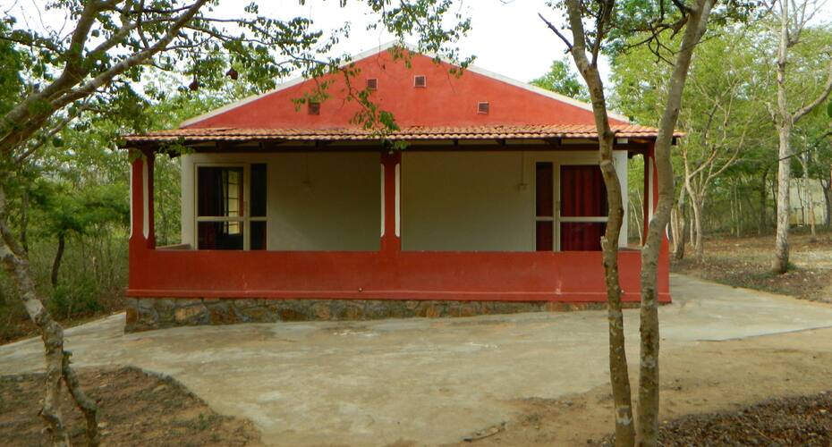 Ambuja Farms, Bandipur 4